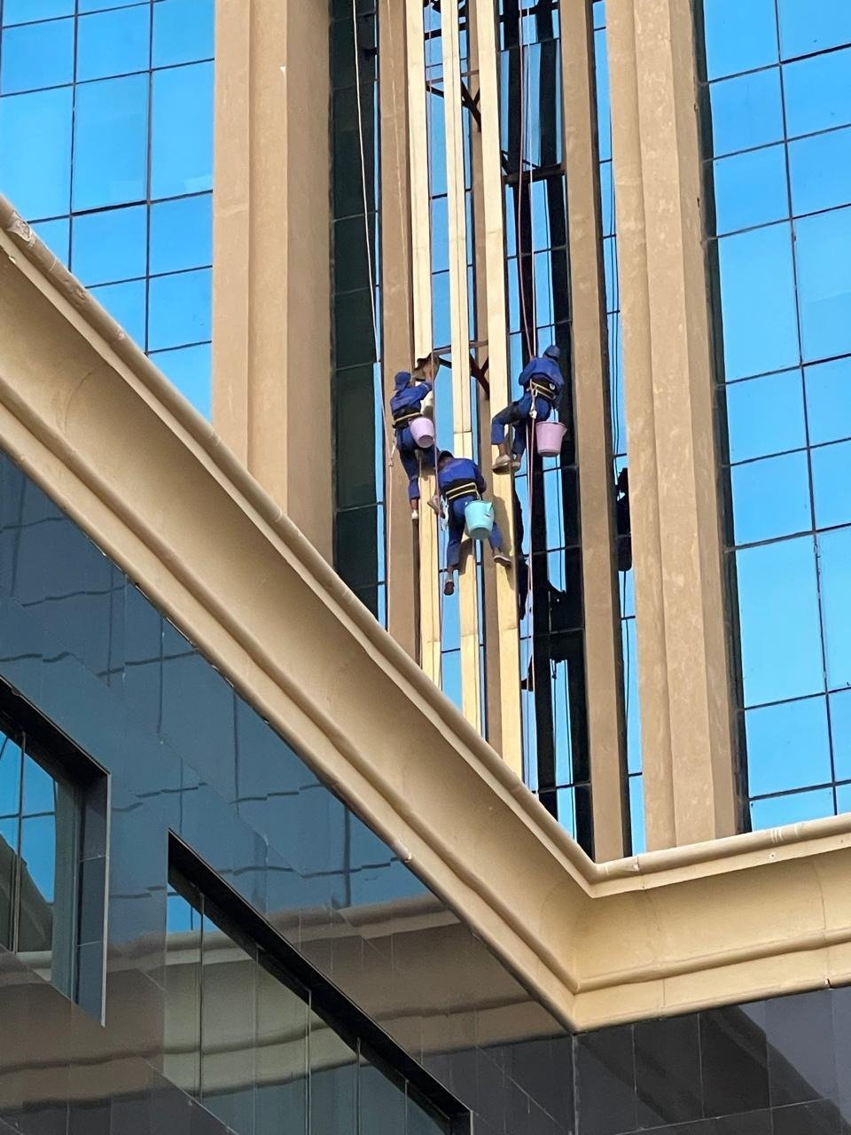 إدارة المشاريع